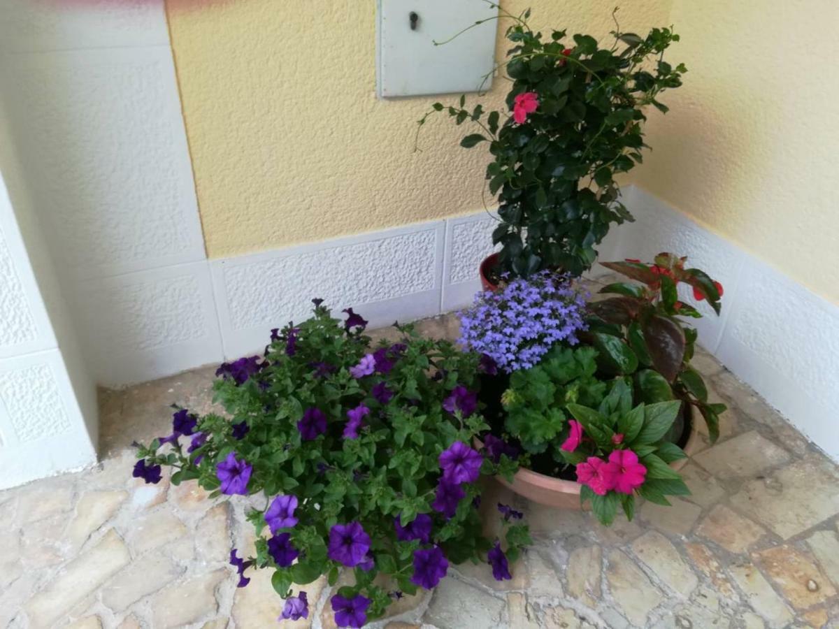 Apartment Lili Poreč Zewnętrze zdjęcie
