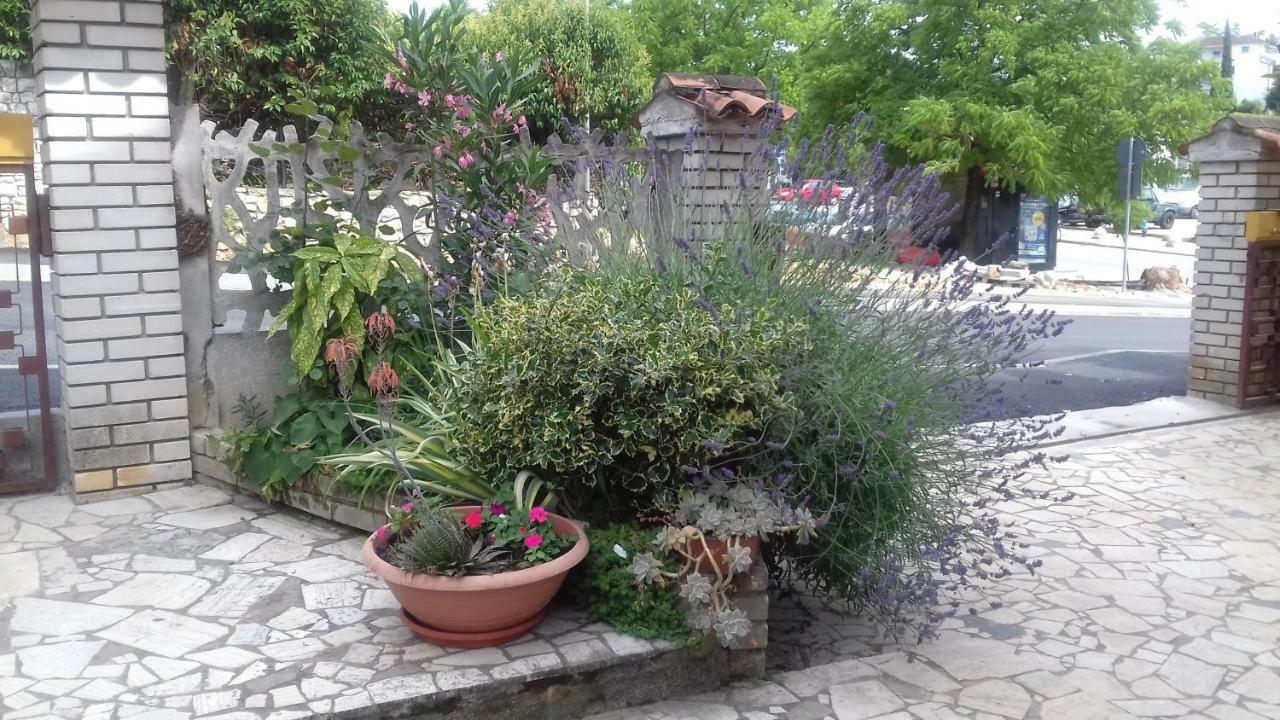 Apartment Lili Poreč Zewnętrze zdjęcie